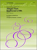 Allegro From Beethoven's Fifth (Movement 1) - Clarinet