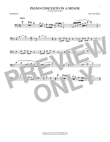 Piano Concerto In A Minor, Op. 16 