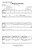 Animal Requiem - Organ