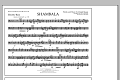 Shambala - Electric Bass