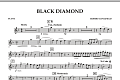 Black Diamond - Flute