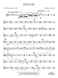 Jaguar - Eb Alto Saxophone 2