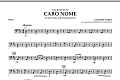 Caro Nome (from "Rigoletto") - Bass