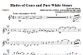 Blades Of Grass And Pure White Stones - Violin 2