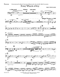 Noisy Wheels Of Joy - Bassoon