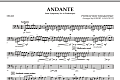 Andante (from Symphony No.6 "Pathetique") - Cello
