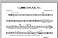 Cathedral Grove - Baritone B.C.