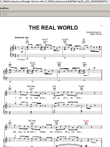 The Real World 