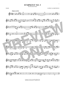 Symphony No. 5 In C Minor, First Movement Excerpt 