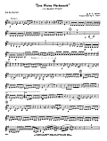 Eine Kleine Nachtmusik (1st Movement - Allegro) (arr. Frank Sacci) - 3rd Bb Clarinet