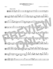 Symphony No. 5 In C Minor, First Movement Excerpt 