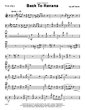 Back To Havana - Flute