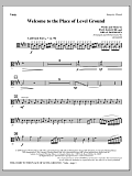 Welcome To The Place Of Level Ground - Viola