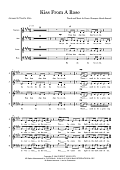 Kiss From A Rose (arr. Tim Allen) - Choral Score