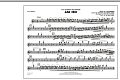 Jai Ho (from "Slumdog Millionaire") - Flute/Piccolo