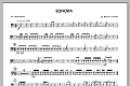 Sonora - 1st snare drum