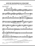 Stevie Wonder In Concert - Mallet Percussion
