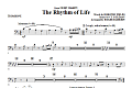 The Rhythm Of Life - Trombone