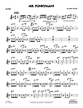 Mr. Funkyman! - Guitar