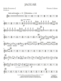 Jaguar - Mallet Percussion 2