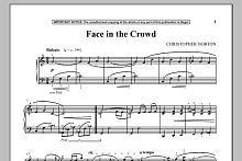 Face In The Crowd 