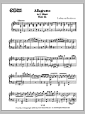 Allegretto In C Minor, Woo 53
