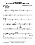 You Are the Sunshine of My Life - Aux Percussion