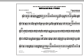 Breaking Free (from High School Musical) - Bells/Xylophone
