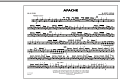 Apache - Quad Toms