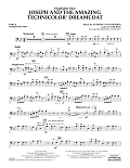 Highlights from Joseph and the Amazing Technicolor Dreamcoat - Pt.5 - String/Electric Bass