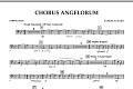 Chorus Angelorum - String Bass