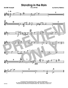 Standing In The Rain (You Left Me) - 2nd Bb Trumpet 