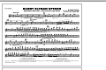 Danny Elfman Opener - Flute/Piccolo