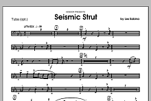 Seismic Strut - Tuba 