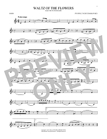 Waltz Of The Flowers, Op. 71a 
