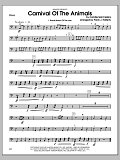 Carnival of the Animals - Bass