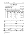 Kaki Lambe