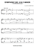 Symphony No. 5 in C Minor, First Movement Excerpt