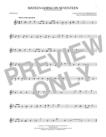 Sixteen Going On Seventeen (from The Sound of Music) 