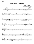 The Winter Rose (Theme from The Winter Rose) - Cello