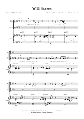 Wild Horses (arr. Tim Allen) - Full Score