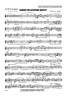 Saxafrass - 2nd Eb Alto Saxophone 