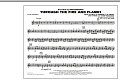 Through the Fire and Flames - 3rd Bb Trumpet