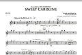 Sweet Caroline - Flute