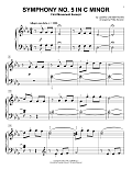 Symphony No. 5 In C Minor, First Movement Excerpt