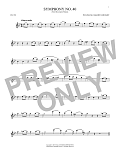 Symphony No. 40 In G Minor, First Movement Excerpt