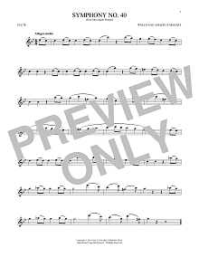 Symphony No. 40 In G Minor, First Movement Excerpt 