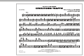 Crosstown Traffic - Flute/Piccolo