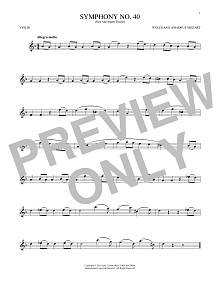 Symphony No. 40 In G Minor, First Movement Excerpt 
