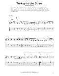 Turkey In The Straw (arr. Fred Sokolow)